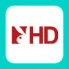 Play Boy Hd